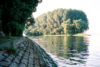 Rhein River near Mainz, Germany
